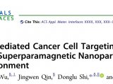 客户文章 | 在模拟生理环境中通过蛋白冠装饰的超顺磁性纳米粒子靶向电荷介导的癌细胞