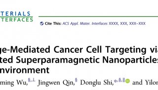 客户文章 | 在模拟生理环境中通过蛋白冠装饰的超顺磁性纳米粒子靶向电荷介导的癌细胞