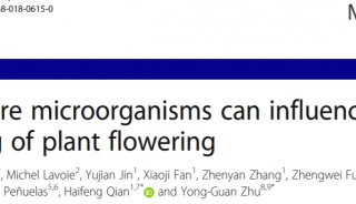 开年客户文章解读 |Microbiome（IF=10.465）运用GC-MS非靶标代谢组学研究植物根际微生物对开花时间的影响