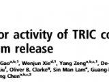 PNAS: TRIC逆离子通道在钙释放中活性的结构基础