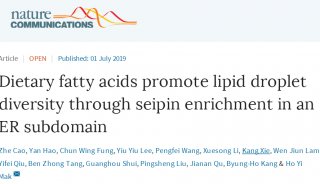 Nat. Commun.：膳食脂肪酸通过内质网亚结构域中的seipin蛋白富集促进脂滴的多样性