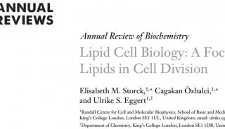Annu Rev Biochem：脂质细胞生物学：细胞分裂中的脂质研究