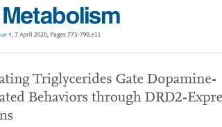 Cell Metabolism: 甘油三酯通过DRD2神经元对多巴胺相关行为的调控