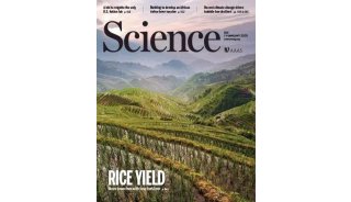 项目文章 | 欧易生物酵母文库项目发表 Science 封面文章