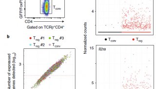 单细胞和TCR测序揭示了调节性T细胞的表型图谱
