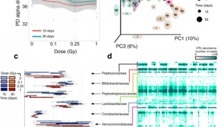 小鼠肠道微生物多样性+代谢组联合分析