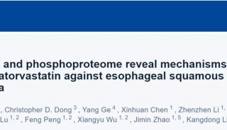郑州大学刘康栋组磷酸化组学揭示阿托伐他汀抗食管鳞癌的作用机制