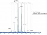 MALDImini-1数字离子阱质谱仪糖肽分析 