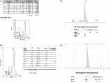 MALDI-TOF质谱再次鉴定出新型变异血红蛋白（hemoglobin variant）
