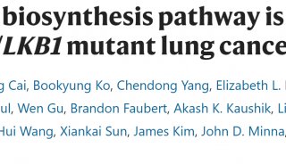 Nature Metabolism:转录+代谢联合解析非小细胞肺癌代谢重编程机制