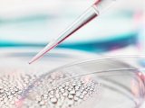 岛津细胞上清液质谱分析平台，助力国产培养基研发与质控