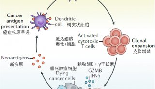 質譜流式檢測技術（CyTOF）：新一代腫瘤免疫學研究工具