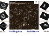 原子力显微镜案例分享 | Cypher系列AFM助力探究荧光碳量子点中的电荷转移