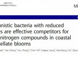 客户文章 | 多组学研究藻华时条件异养菌参与溶解性有机物转化的机制