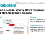 客户文章丨益生菌L.casei Zhang减缓急性和慢性肾脏疾病的发病进程