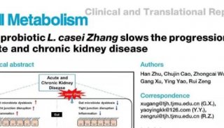 客户文章丨益生菌L.casei Zhang减缓急性和慢性肾脏疾病的发病进程