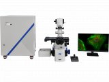永新光学发布新品 NCF950 激光共聚焦显微镜