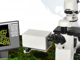 国家重点研发计划“高分辨荧光显微成像仪研究及产业化”项目顺利通过中期检查