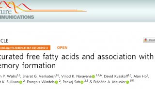 Nature Communications​ | 饱和脂肪酸与记忆形成相关