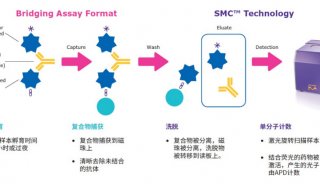 默克SMC单分子超高灵敏度检测平台帮您应对ADA检测的挑战