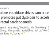 Gut丨角鲨烯环氧酶通过促进细胞增殖和肠道菌群失调加速CRC进展