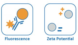 【新品推荐】ZetaView x30系列纳米颗粒跟踪分析仪隆重登场