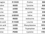 利器善工：氨基酸/神经递质/儿茶酚胺靶向定量代谢组学试剂盒与高性能质谱强强联合