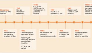 研究了百余年的胆汁酸，新的突破点在哪里？