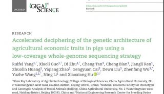 用户声音 | 华南农大吴珍芳教授：打破“卡脖子”难题，全基因组选择技术让消费者吃上“完美”猪肉