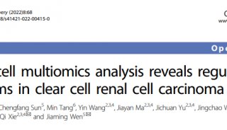 单细胞转录组测序助力解析肾透明细胞癌的发病机制