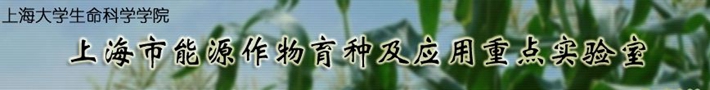 上海市能源作物育种及应用重点实验室