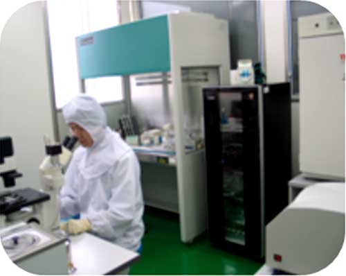 科研条件：洁净间之二——细胞培养室