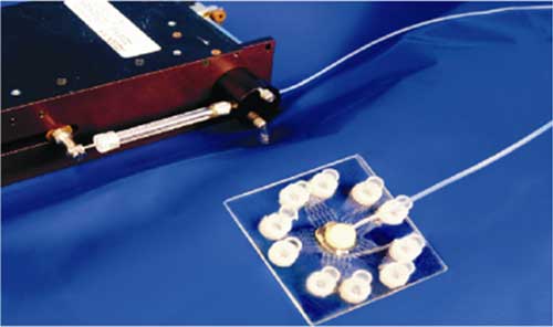 自制微流控芯片：PDMS-玻璃细胞研究芯片