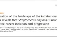 「質譜成像大講堂」iMScope QT揭秘胃癌背后微生物群的“神秘幫兇”