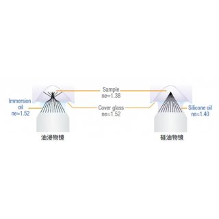  科技前沿丨《Nature Methods》：全新微创活体透明化方法与成像系统突破活体研究的瓶颈