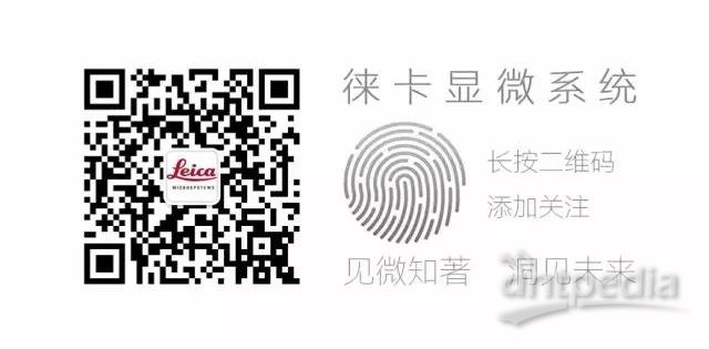 WeChat Image_20170726145744.jpg
