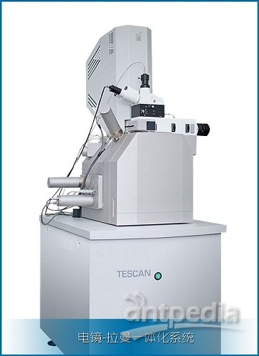 TESCAN RISE电镜拉曼一体化显微镜 