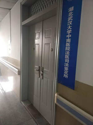 上海净信多样品组织研磨仪参与武汉大学中南医院法医司法鉴定
