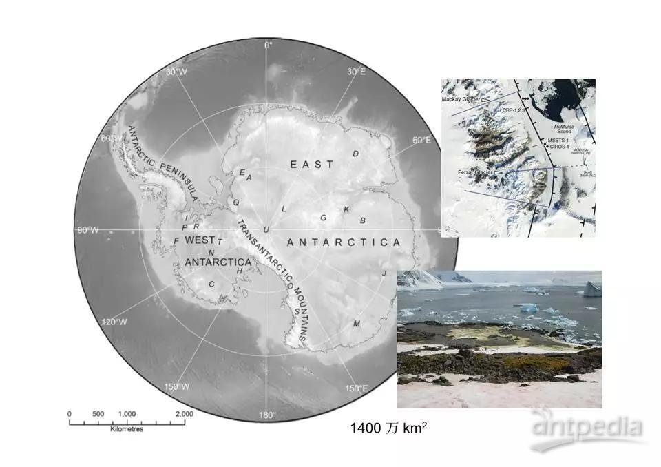 中科院水生所徐旭东组揭示中温绿藻对南极的早期适应机制