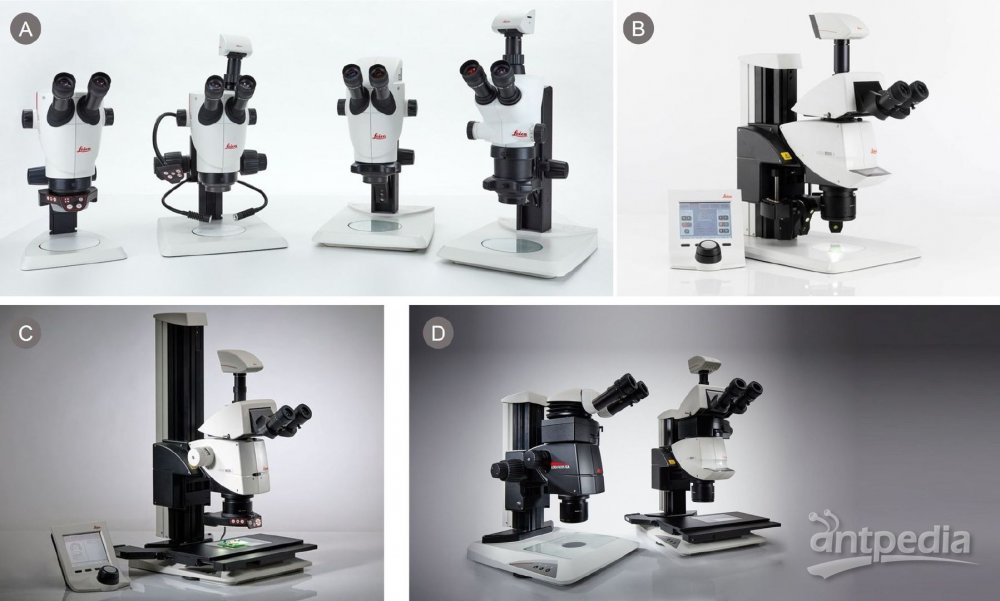 图1：徕卡体视显微镜：A) S9 Greenough系列和B-D) M205 CMO系列。