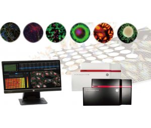Cytiva IN Cell Analyzer 2500/6500 高内涵细胞成像分析系统