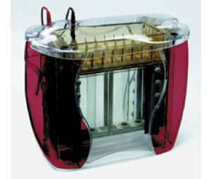 标准垂直电泳仪SE600 Ruby