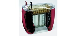 标准垂直<em>电泳仪</em>SE600 Ruby