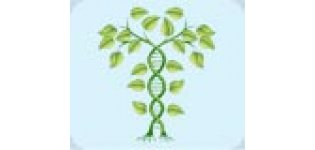 <em>植物</em><em>基因</em>