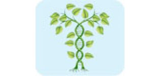 <em>植物</em><em>基因</em>