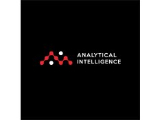 ANALYTICAL INTELLIGENCE 分析智能