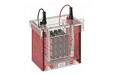 湿法转印系统Tankblot Eco-Mini