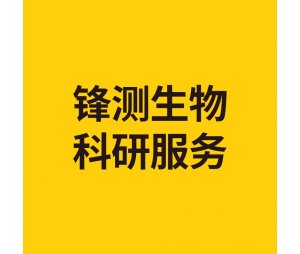 CRISPR/Cas9基因敲除稳定细胞系构建