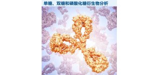 单糖、双糖和磷酸化糖衍生物