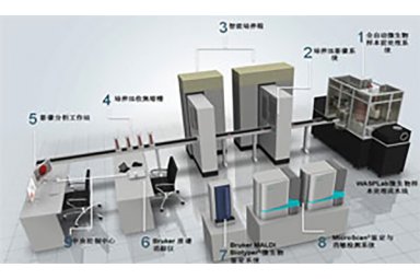 贝克曼库尔特WASP和MicroScan和Biotyper微生物实验室自动化流水线封面图